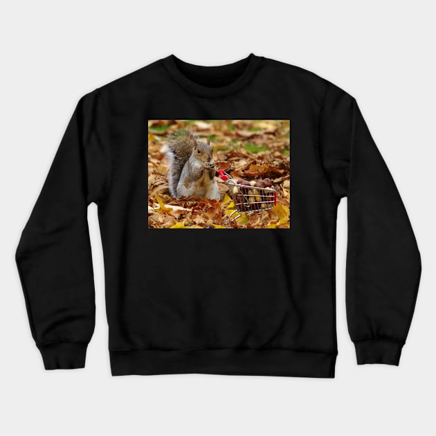 squirrel with shopping cart Crewneck Sweatshirt by Simon-dell